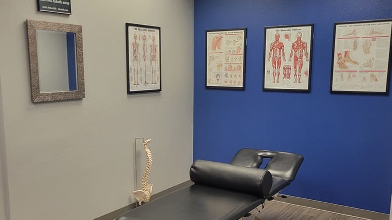 photo of the treatment room inside Airrosti McKinney. The room is decorated with Musculoskeletal diagrams and a model of a full sized spinal skeleton