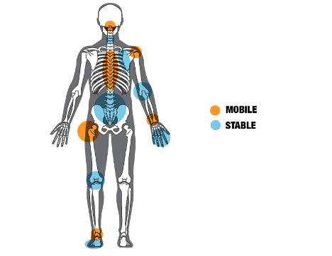 Lower back injuries in athletes are common, but treatable - Sports